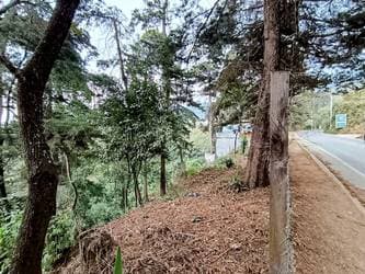 5818 -  TERRENO EN VENTA EN EL HATO - FS