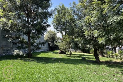 Excellent investment opportunity in San Pedro Las Huertas
