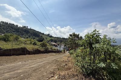 Three lots for sale in Ciudad Vieja