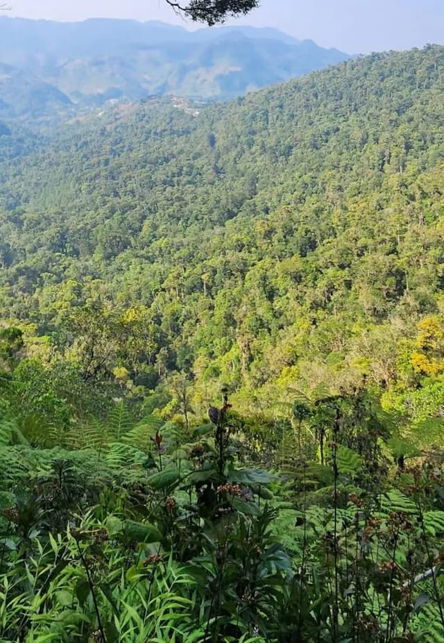 Bienes Raíces Cobán: Alquiler y Compra en Alta Verapaz (2026)