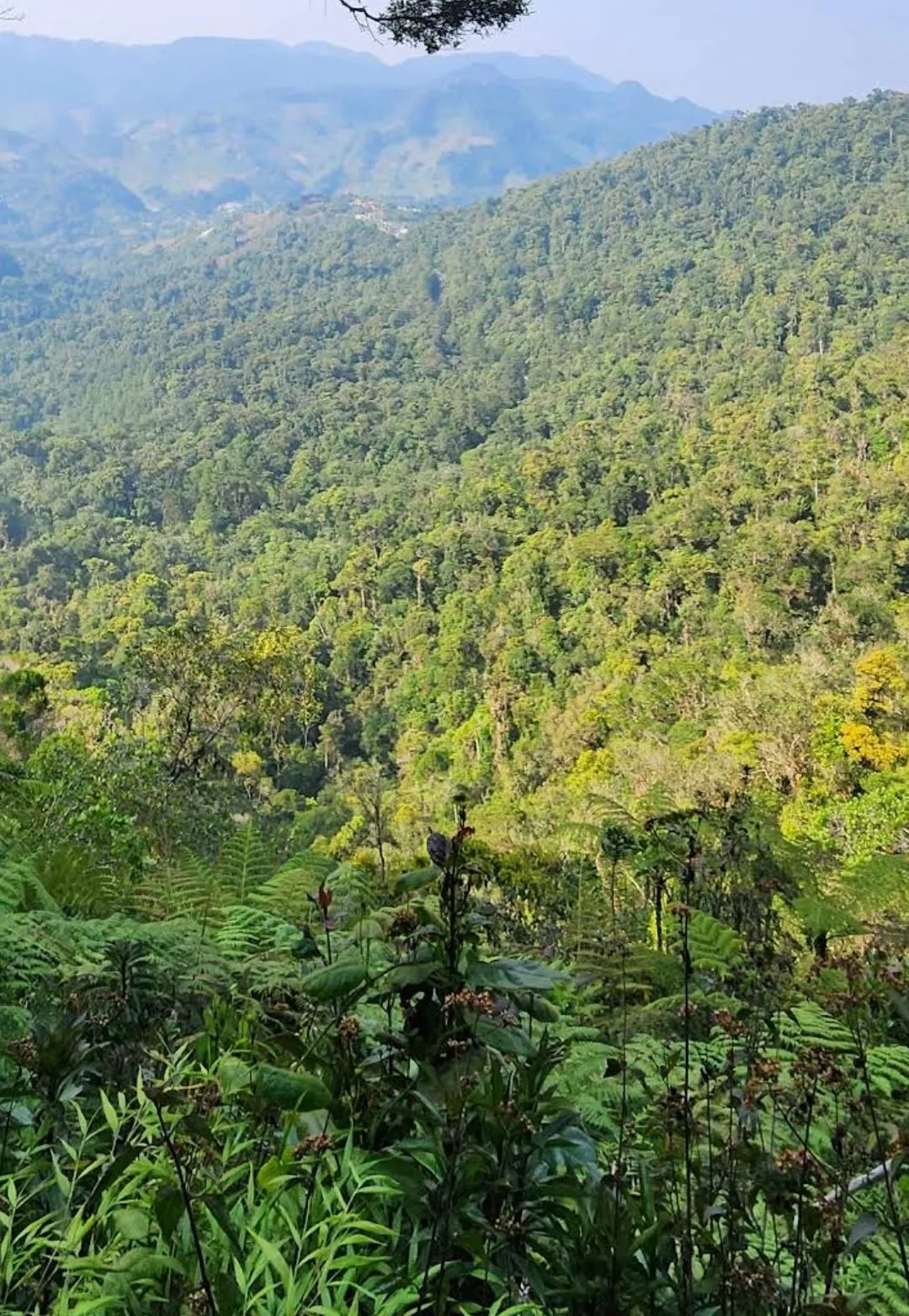 Cost of Living in Coban 2026: $500-800/Month