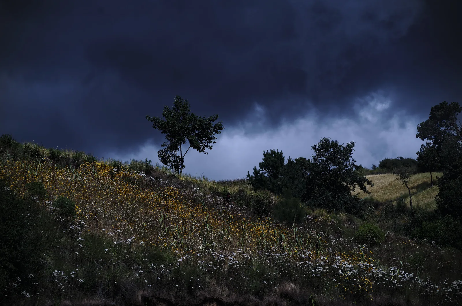 Guatemala Rainy Season 2026: Monthly Rain Guide