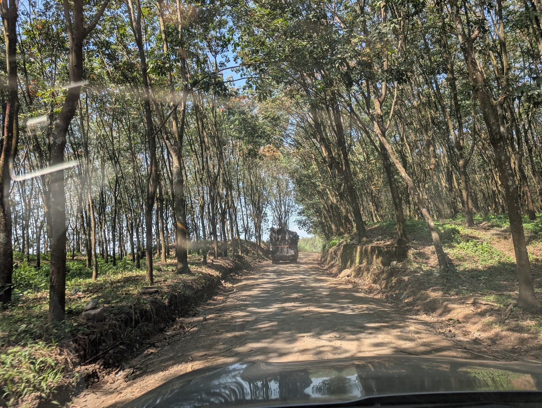 Retalhuleu, Guatemala: Seguridad, Costo de Vida y Atracciones (2026)