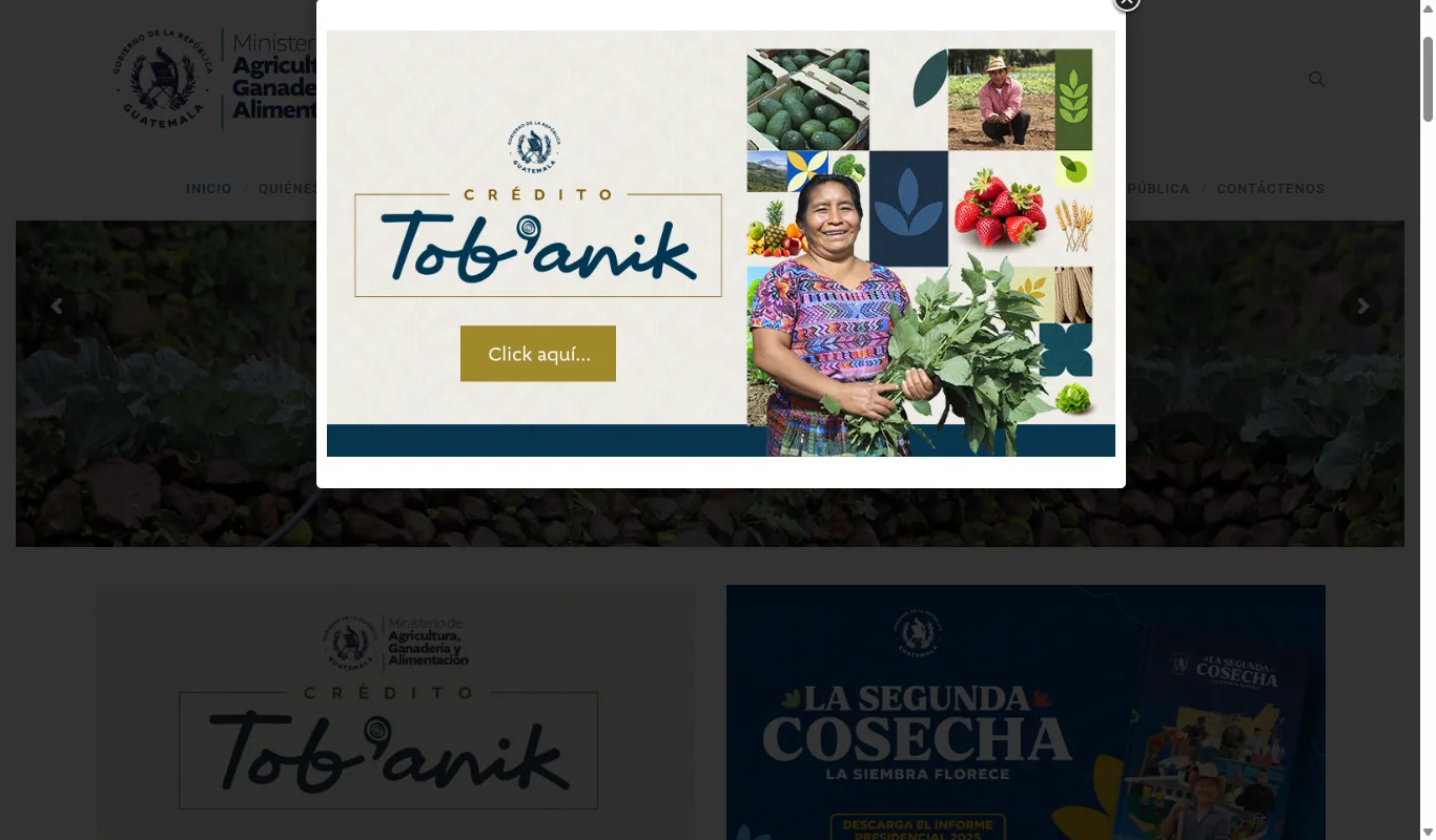 MAGA (Ministerio de Agricultura, Ganaderia y Alimentacion) sitio oficial maga.gob.gt mostrando el sello institucional, el banner destacado del programa 'CREDITO Tob'anik' con una productora rural en huipil sosteniendo productos agricolas, y la campana estacional 'La Segunda Cosecha — La siembra Florece'